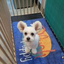 멍shower(멍샤워) 이미지