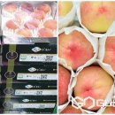 충주농협 노은지점 이미지