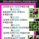 첼로노래타운 - 미추홀구 독배로436번길 5 | 첼로노래타운