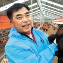 화순우리맛닭영농조합법인 이미지