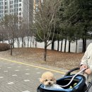 그릭앤보울