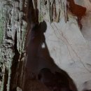 선녀와나뭇꾼 이미지