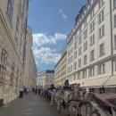 Good View Guesthouse | 차 여행, 힐링여행특집- 슈테판대성당, 위스키 'Potsill', 비엔나카페 'Guesthouse Vienna' 비엔나맛집투어