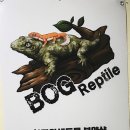 보그렙타일
