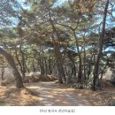 3/26(일)충남 아산 천년의 숲길 트레킹 및 채리 아드님 결혼식 참석(만남시간:8시) 이미지