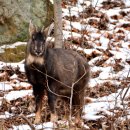 산양3리 이미지