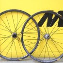 금천MTB 이미지