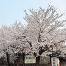 성수장 | [성수] 오복떡집 도전 실패 후 성수 노포 성수장 간짜장 맛집 후기