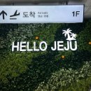 01-117 동구 | 여행ㅣ제주도 일주일 여행 - 1일차(티웨이항공/카모아렌트카/오르또펜션)