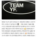 팀와이에프 이미지