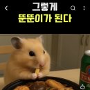 (주)오주 | [해운대 맛집:우선생 양꼬치&amp;훠궈 본점] 부산 샤브샤브 맛집에서 즐긴 뜨끈한 한끼