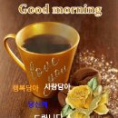 매화 피어 천하가 봄이로다. 이미지