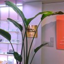 빛이난다의원 이미지