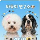 하버드 유치원 | [청주 애견유치원] 증멍사진 프롬프트 어버이날 이벤트