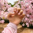 네일아트 | 선릉네일 디아나네일, 은은한 핑크 글리터 네일아트 후기