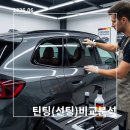 신흥자동차서비스 | 자동차 프리미엄 틴팅 완벽 가이드 : 후퍼옵틱, 브이쿨, 버텍스, 하버캠프 비교 분석