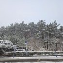 이재 플라워&카페 이미지