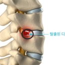 더디스크 이미지