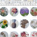 꽃그림 보타니컬아트 이미지