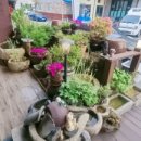 화초랑전통차