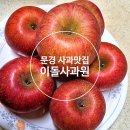 문경사과원 | 문경 이돌사과원 이용 후기