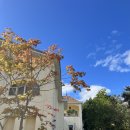 울산우리안약국 이미지