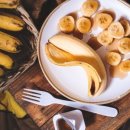 바나나사자 이미지