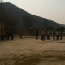 개나리길 이미지