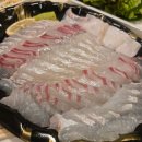 삼척중앙시장회포장 맛집 바다회활어 광어 참돔 후기 삼척쏠비치회포장 추천