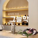 새로나찻집 | 대구 그늘막 | 범어동 보이차 전문 찻집| 대구 법원 카페