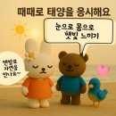 선(SUN) 테라피