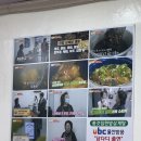 종갓집한방삼계탕 | 울산삼계탕맛집 반구동맛집 종갓집한방삼계탕