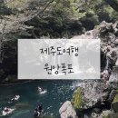 유래블 이미지