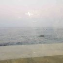 황금오징어 활어회센터2 이미지