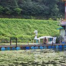 칠오닭갈비춘천점 | 춘천 삼악산 케이블카 뷰 오리배 무료 체험 숯불닭갈비 맛집 : 칠오닭갈비 춘천점