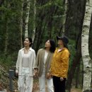 차와 함께 힐링 이미지