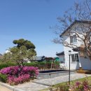 해안29번가 이미지