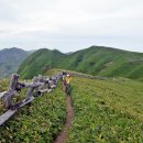 홋카이도 최북단 레분섬& 리시리 꽃길 트레킹 - 시레토코~모모이와전망대 트레킹 이미지