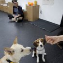 개네집곳간 이미지