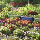 세련농장 이미지