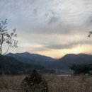 아인53