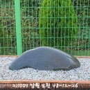 요천농장 Daum카페