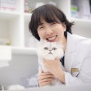 동수동물병원 이미지