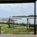 월심이네 이미지