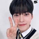 갈채라이브 티스토리