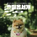 혼저 이미지
