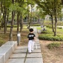 GR(대구광역시 달성군)-[국가산단북로34길]-상-1 | 대구 구지 태권도 유치부 5살부터 1년째 다니고 있는 아이비태권도