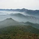 명동장여관 이미지