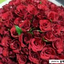 남송농장 이미지