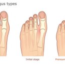 드래곤 파라다이스 짐 이미지